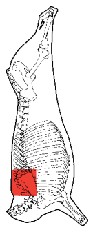 Chuck Roll, HAM7 code 2277: carcase location diagram (placeholder illustration)