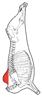 Chuck Crest, HAM7 code 2278: carcase location diagram (placeholder illustration)