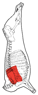 Blade, HAM7 code 2300: carcase location diagram (placeholder illustration)