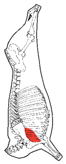 Bolar Blade, HAM7 code 2302: carcase location diagram (placeholder illustration)