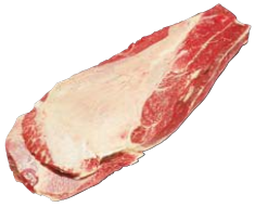 Oyster Blade, HAM7 code 2303: reference photograph (placeholder illustration)
