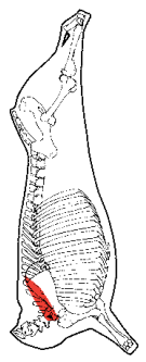Chuck Tender, HAM7 code 2310: carcase location diagram (placeholder illustration)