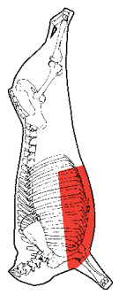 Brisket, HAM7 code 2320: carcase location diagram (placeholder illustration)