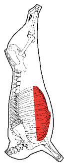 Brisket Pieces, deckle, HAM7 code 2326: carcase location diagram (placeholder illustration)