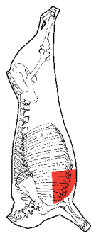 Brisket Point End, pectoral, HAM7 code 2328: carcase location diagram (placeholder illustration)