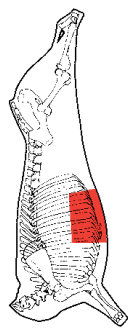 Brisket Navel End, HAM7 code 2344: carcase location diagram (placeholder illustration)