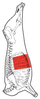 Short Plate, HAM7 code 2348: carcase location diagram (placeholder illustration)