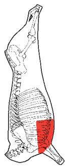 Brisket Point End, deckle off, HAM7 code 2353: carcase location diagram (placeholder illustration)