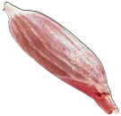 Shin, special trim, HAM7 code 2365: reference photograph (placeholder illustration)