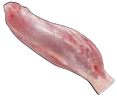 Shin, special trim, HAM7 code 2365: reference photograph (placeholder illustration)