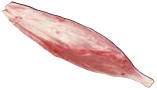 Shin, special trim, HAM7 code 2365: reference photograph (placeholder illustration)