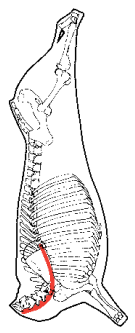 Neck Chain, HAM7 code 2460: carcase location diagram (placeholder illustration)