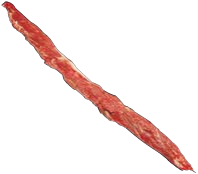 Neck Chain, HAM7 code 2460: reference photograph (placeholder illustration)