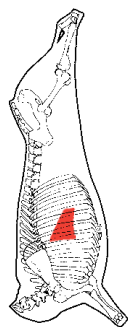 Short Rib Meat, HAM7 code 2465: carcase location diagram (placeholder illustration)