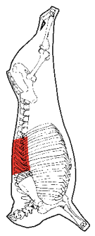 Rib Cap, HAM7 code 2470: carcase location diagram (placeholder illustration)