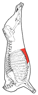 Brisket Navel Plate, HAM7 code 2473: carcase location diagram (placeholder illustration)
