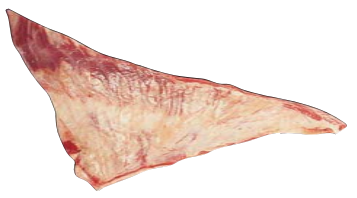 Brisket Navel Plate, HAM7 code 2473: reference photograph (placeholder illustration)
