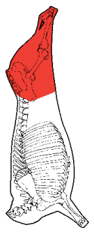 Butt Set, HAM7 code 2483: carcase location diagram (placeholder illustration)