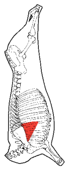 Chuck Rib Meat, HAM7 code 2640: carcase location diagram (placeholder illustration)