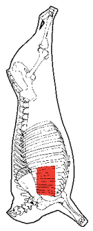 Chuck Meat Square, HAM7 code 2645: carcase location diagram (placeholder illustration)