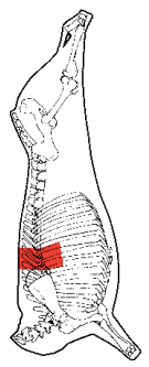 Rib Meat Square, HAM7 code 2650: carcase location diagram (placeholder illustration)